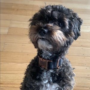 Meet your Posher, Melissa